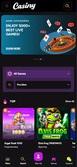 Explore the Exciting World of Casiny Casino 77