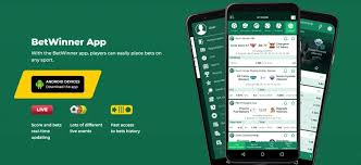Ultimate Guide to Live Casino at Betwinner
